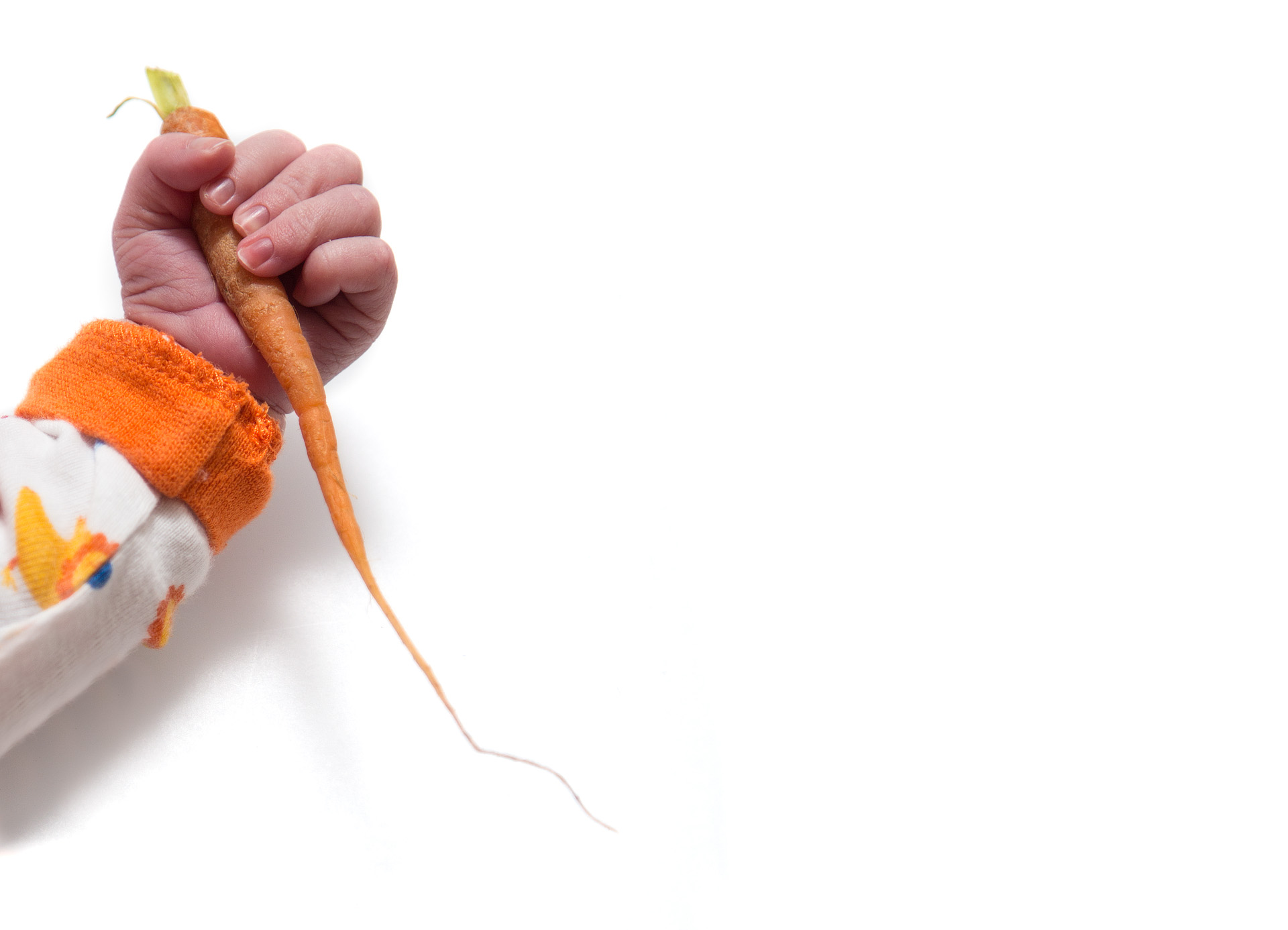20160312_carrotJerky_0025-Edit