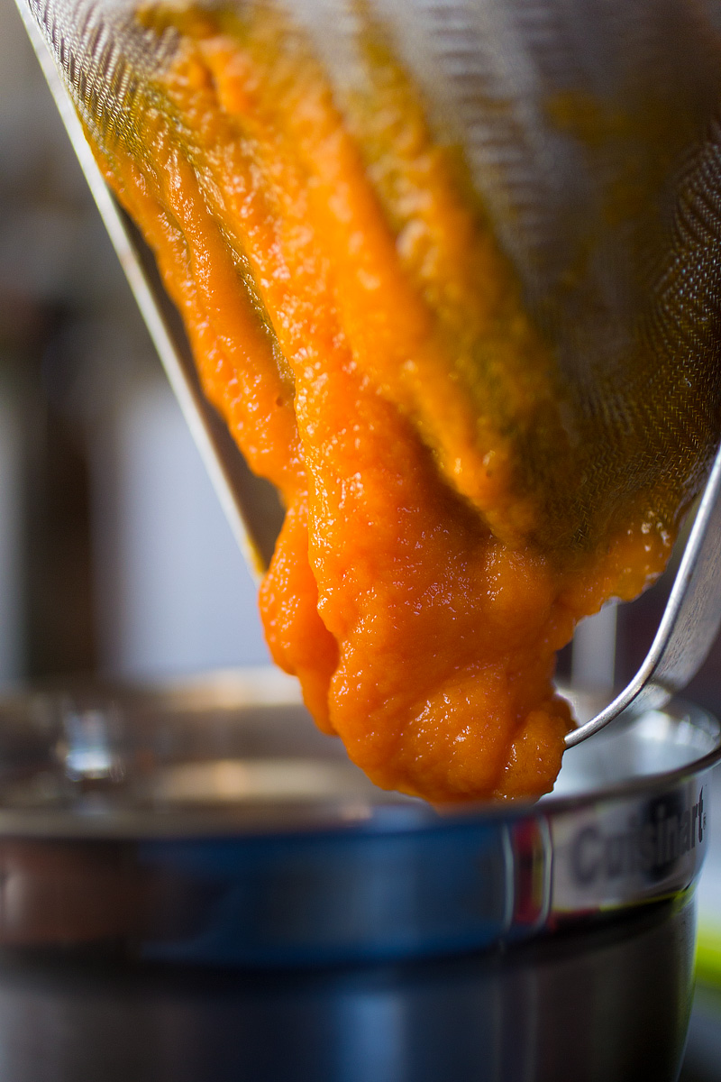 20150919_carrot_0010