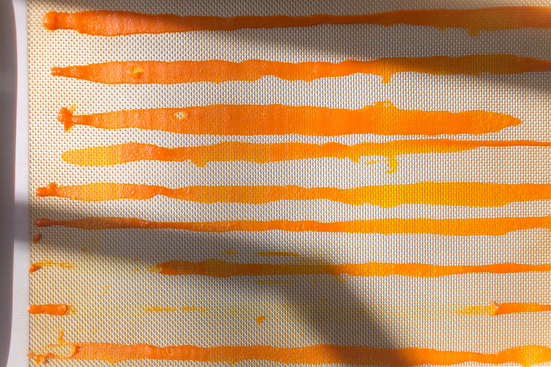 20150919_carrot_0014